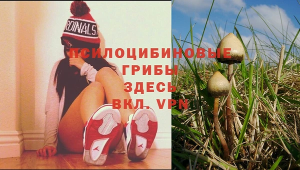 каннабис Володарск