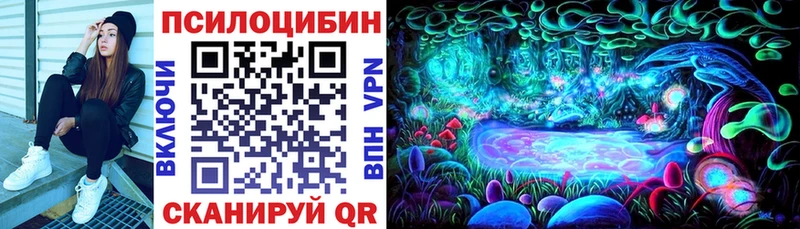 Псилоцибиновые грибы Magic Shrooms  купить наркотик  Рубцовск 